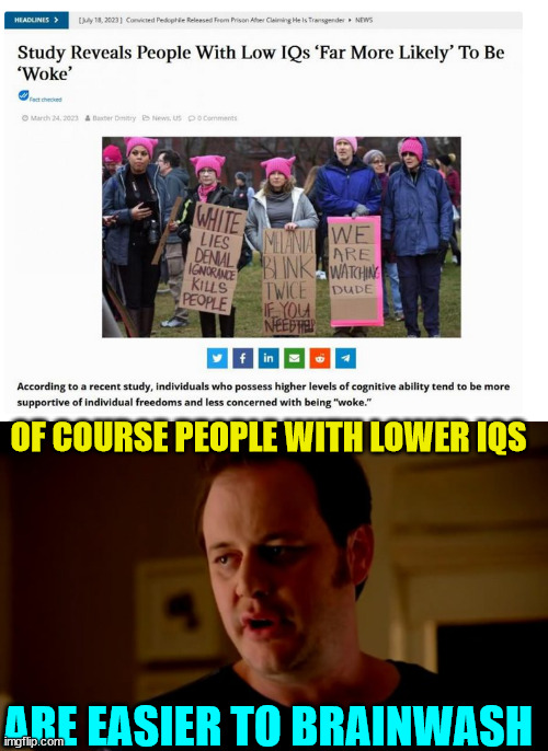 Of course... it's a logical conclusion... | OF COURSE PEOPLE WITH LOWER IQS; ARE EASIER TO BRAINWASH | image tagged in jake from state farm,iq,woke,stupid people | made w/ Imgflip meme maker