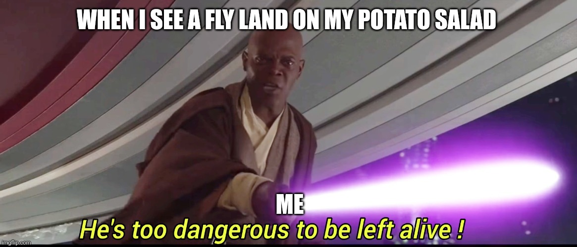 He landed on my potato salad... He must die | WHEN I SEE A FLY LAND ON MY POTATO SALAD; ME | image tagged in he's too dangerous to be left alive | made w/ Imgflip meme maker