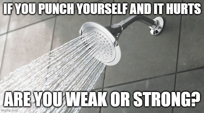hmmm | IF YOU PUNCH YOURSELF AND IT HURTS; ARE YOU WEAK OR STRONG? | image tagged in shower thoughts | made w/ Imgflip meme maker
