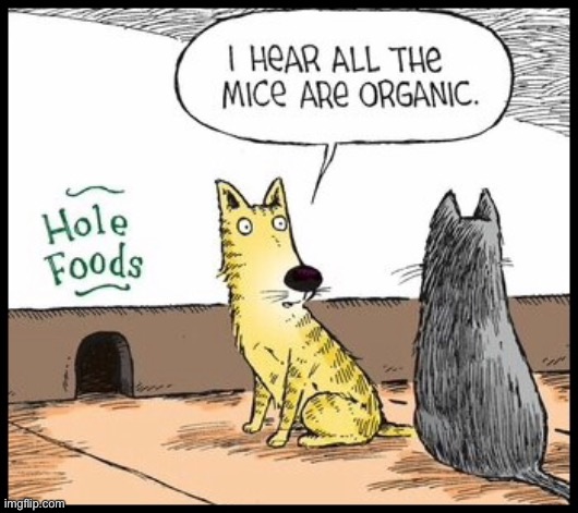 Hole foods | image tagged in cats,mice are organic,hole food | made w/ Imgflip meme maker
