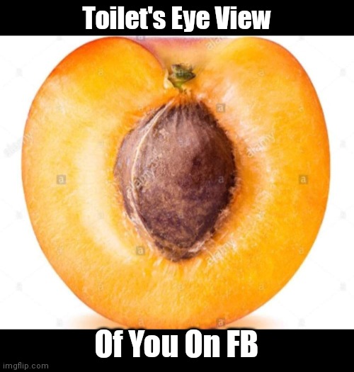 Just peachy | Toilet's Eye View; Of You On FB | image tagged in funny | made w/ Imgflip meme maker