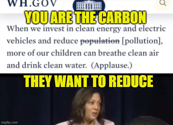 Genocide | YOU ARE THE CARBON; THEY WANT TO REDUCE | image tagged in kh,kamala harris,genocide,carbon footprint,carbon,joe biden | made w/ Imgflip meme maker