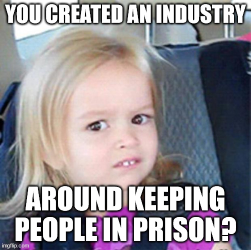 ME IN RESPONSE TO STATISTS | YOU CREATED AN INDUSTRY; AROUND KEEPING PEOPLE IN PRISON? | image tagged in confused little girl | made w/ Imgflip meme maker