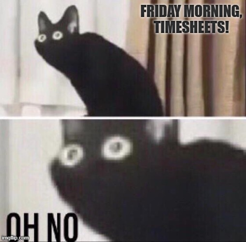 Timesheets | FRIDAY MORNING, TIMESHEETS! | image tagged in oh no cat | made w/ Imgflip meme maker