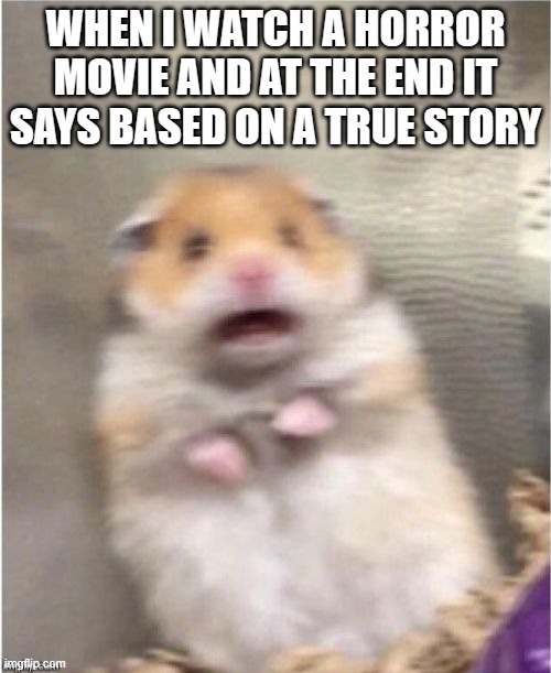 Hammer the Hamster | WHEN I WATCH A HORROR MOVIE AND AT THE END IT SAYS BASED ON A TRUE STORY | image tagged in scared hamster | made w/ Imgflip meme maker