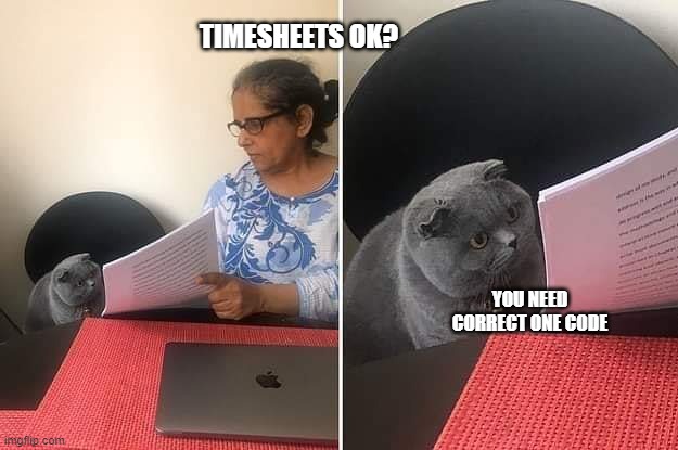 Timesheets | TIMESHEETS OK? YOU NEED CORRECT ONE CODE | image tagged in woman showing paper to cat | made w/ Imgflip meme maker