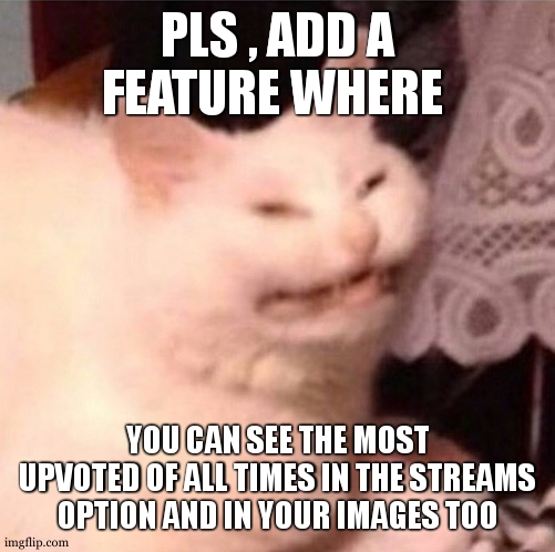 i beg you | PLS , ADD A FEATURE WHERE; YOU CAN SEE THE MOST UPVOTED OF ALL TIMES IN THE STREAMS OPTION AND IN YOUR IMAGES TOO | image tagged in cat laughing | made w/ Imgflip meme maker