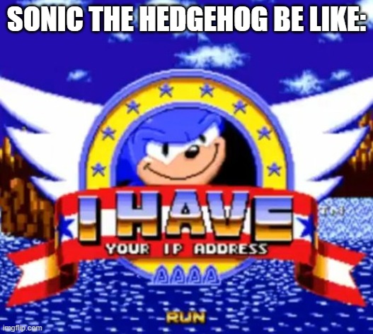 Sonic The Hedgehog Be Like | SONIC THE HEDGEHOG BE LIKE: | image tagged in i have your ip address | made w/ Imgflip meme maker