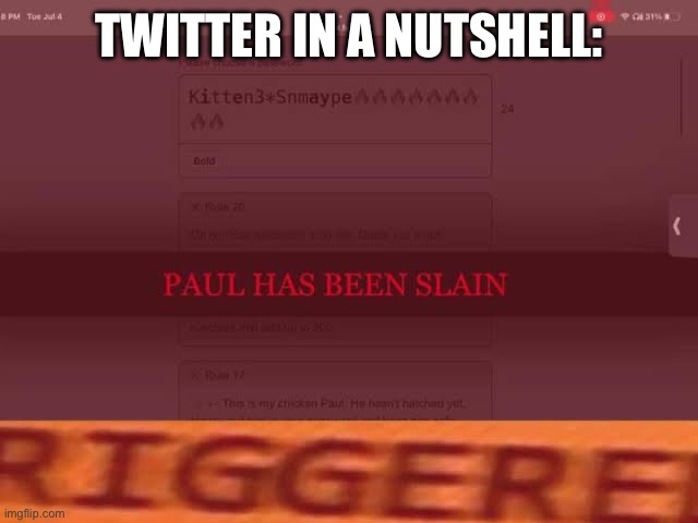 TWITTER IN A NUTSHELL: | image tagged in twitter | made w/ Imgflip meme maker