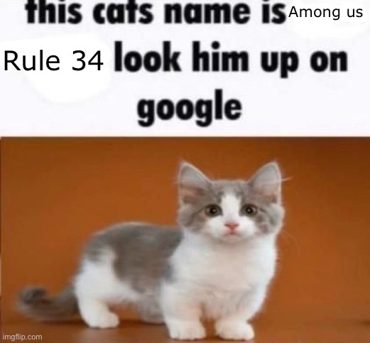 Top 10 awesome cat names | Among us; Rule 34 | image tagged in this cats name is x look him up on google | made w/ Imgflip meme maker