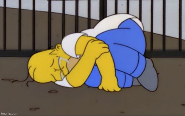 Fetal Position Homer | image tagged in fetal position homer | made w/ Imgflip meme maker