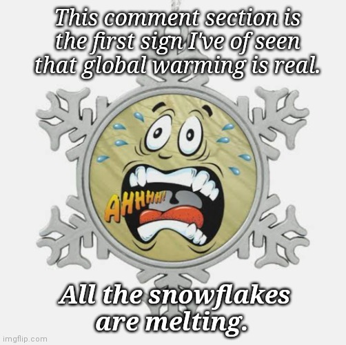 Upset Snowflake | This comment section is the first sign I've of seen that global warming is real. All the snowflakes are melting. | image tagged in triggered,snowflakes,global warming | made w/ Imgflip meme maker