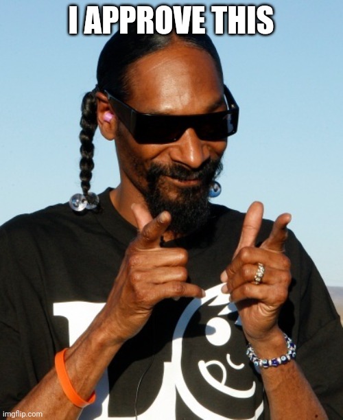 Snoop Dogg approves | I APPROVE THIS | image tagged in snoop dogg approves | made w/ Imgflip meme maker