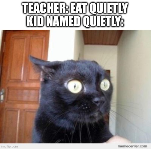 Scared Cat | TEACHER: EAT QUIETLY
KID NAMED QUIETLY: | image tagged in scared cat | made w/ Imgflip meme maker