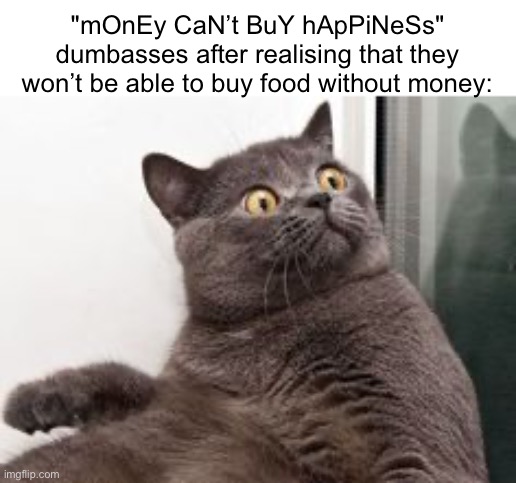The moment when you realise.... Exams are in a month | "mOnEy CaN’t BuY hApPiNeSs" dumbasses after realising that they won’t be able to buy food without money: | image tagged in the moment when you realise exams are in a month | made w/ Imgflip meme maker