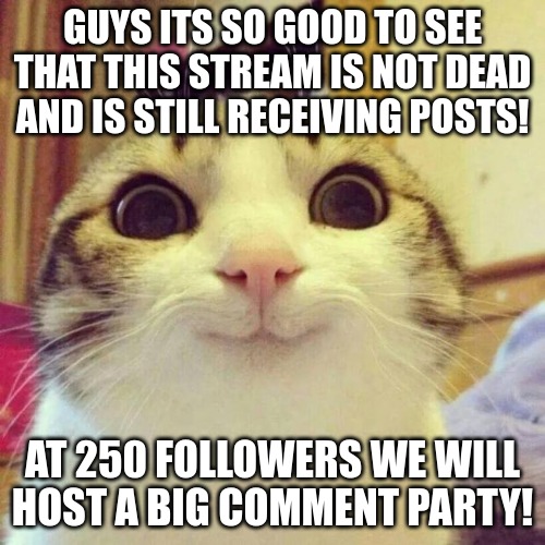 250 follows=big party | GUYS ITS SO GOOD TO SEE THAT THIS STREAM IS NOT DEAD AND IS STILL RECEIVING POSTS! AT 250 FOLLOWERS WE WILL HOST A BIG COMMENT PARTY! | image tagged in memes,smiling cat | made w/ Imgflip meme maker