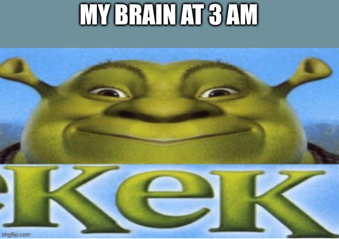 kek. | MY BRAIN AT 3 AM | image tagged in kek,brain at 3 am,iceu,who am i,shitpost,shrek | made w/ Imgflip meme maker