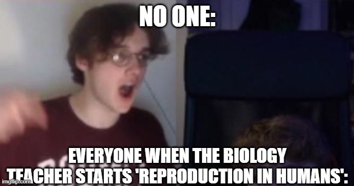 true story | NO ONE:; EVERYONE WHEN THE BIOLOGY TEACHER STARTS 'REPRODUCTION IN HUMANS': | image tagged in wilbur yells at tommy dsmp | made w/ Imgflip meme maker