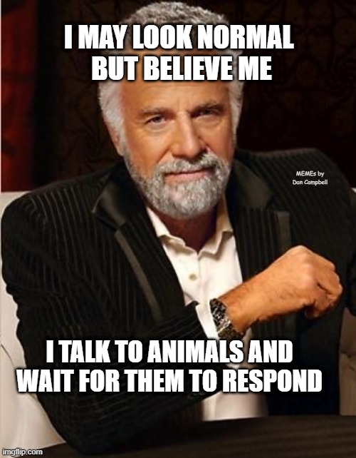 i don't always | I MAY LOOK NORMAL 
BUT BELIEVE ME; MEMEs by Dan Campbell; I TALK TO ANIMALS AND WAIT FOR THEM TO RESPOND | image tagged in i don't always | made w/ Imgflip meme maker