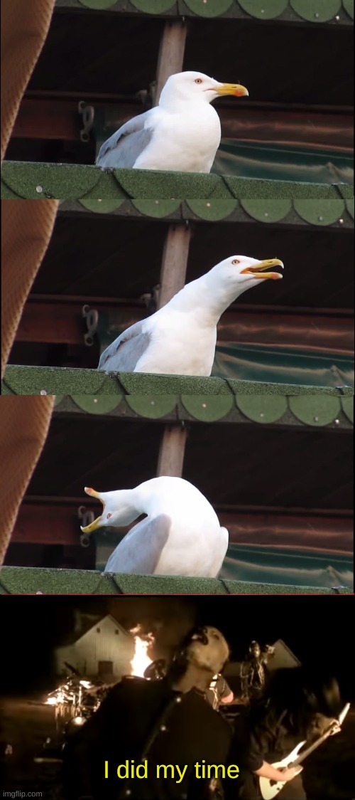 I did my time | image tagged in memes,inhaling seagull,and the rain will kill us all | made w/ Imgflip meme maker