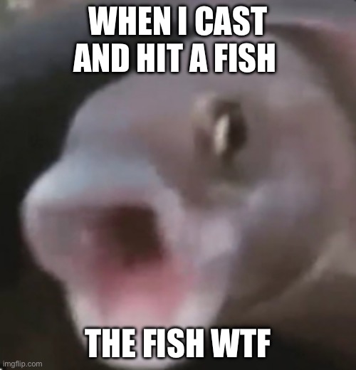 Poggers Fish | WHEN I CAST AND HIT A FISH; THE FISH WTF | image tagged in poggers fish | made w/ Imgflip meme maker