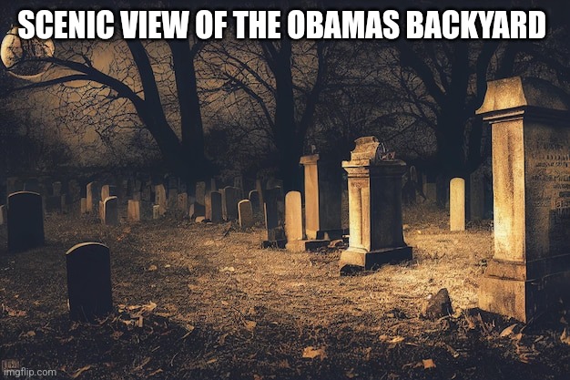 SCENIC VIEW OF THE OBAMAS BACKYARD | image tagged in funny memes | made w/ Imgflip meme maker