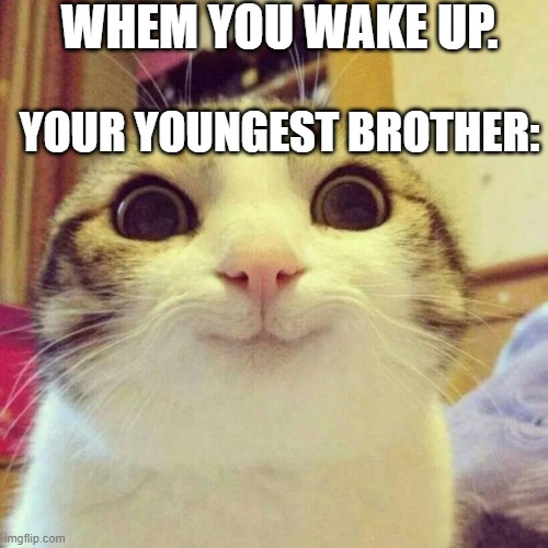 When you wake up. | WHEM YOU WAKE UP. YOUR YOUNGEST BROTHER: | image tagged in memes,smiling cat,siblings,waking up | made w/ Imgflip meme maker