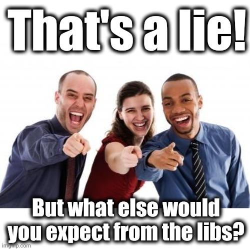 Pointing and laughing | That's a lie! But what else would you expect from the libs? | image tagged in pointing and laughing | made w/ Imgflip meme maker