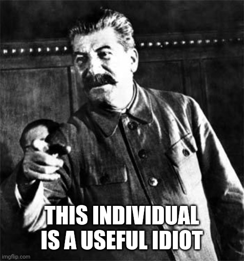 Stalin | THIS INDIVIDUAL IS A USEFUL IDIOT | image tagged in stalin | made w/ Imgflip meme maker