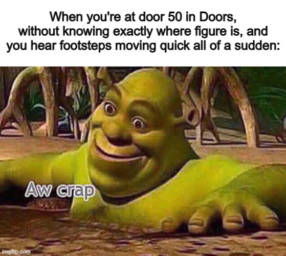 Looks like I'm dead :( | When you're at door 50 in Doors, without knowing exactly where figure is, and you hear footsteps moving quick all of a sudden: | image tagged in aw crap | made w/ Imgflip meme maker