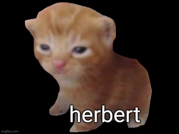 herbert (mod note: herbert) | herbert | image tagged in herbert | made w/ Imgflip meme maker