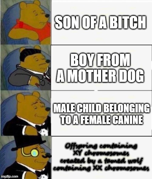 Tuxedo Winnie the Pooh 4 panel | SON OF A BITCH; BOY FROM A MOTHER DOG; MALE CHILD BELONGING TO A FEMALE CANINE; Offspring containing XY chromosomes created by a tamed wolf containing XX chromosomes | image tagged in tuxedo winnie the pooh 4 panel | made w/ Imgflip meme maker