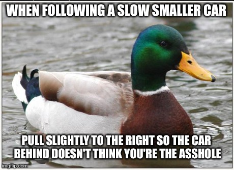 Actual Advice Mallard | WHEN FOLLOWING A SLOW SMALLER CAR PULL SLIGHTLY TO THE RIGHT SO THE CAR BEHIND DOESN'T THINK YOU'RE THE ASSHOLE | image tagged in memes,actual advice mallard | made w/ Imgflip meme maker