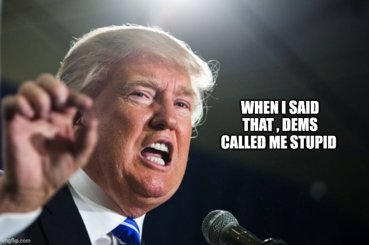 donald trump | WHEN I SAID THAT , DEMS CALLED ME STUPID | image tagged in donald trump | made w/ Imgflip meme maker