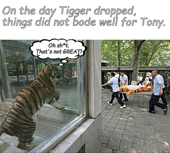 oh no   Tigger dropped | On the day Tigger dropped,
things did not bode well for Tony. Oh sh*t.
That's not GREAT! | image tagged in memes,middle school | made w/ Imgflip meme maker