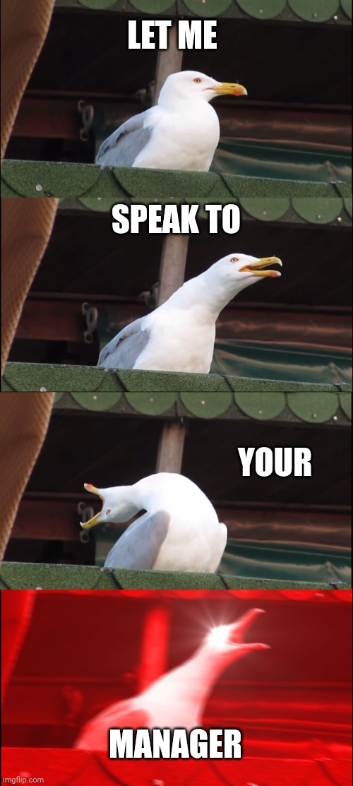 Inhaling Seagull Meme | LET ME; SPEAK TO; YOUR; MANAGER | image tagged in memes,inhaling seagull | made w/ Imgflip meme maker