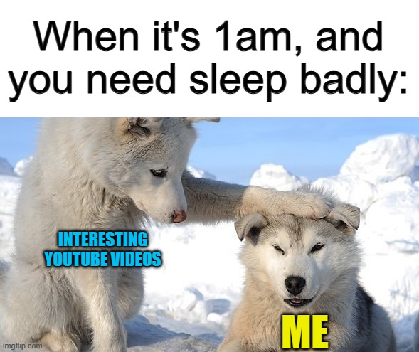 I hope this doesn't happen to any of you... | When it's 1am, and you need sleep badly:; INTERESTING YOUTUBE VIDEOS; ME | image tagged in doggiestried | made w/ Imgflip meme maker