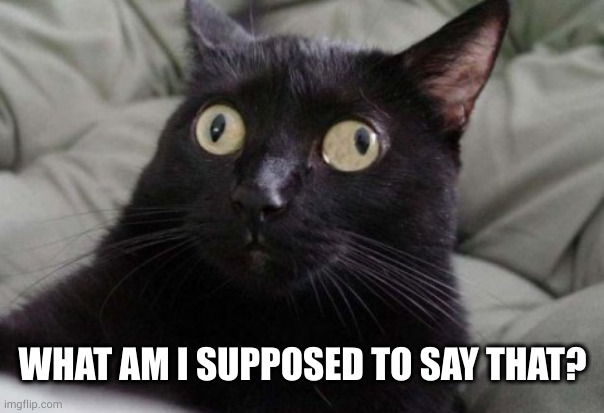 Confused Cat | WHAT AM I SUPPOSED TO SAY THAT? | image tagged in confused cat | made w/ Imgflip meme maker