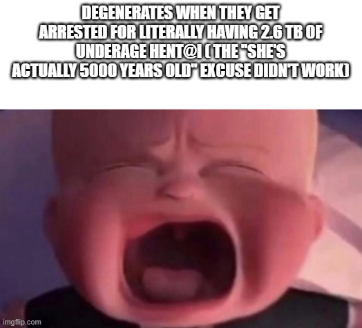 boss baby crying | DEGENERATES WHEN THEY GET ARRESTED FOR LITERALLY HAVING 2.6 TB OF UNDERAGE HENT@I ( THE ''SHE'S ACTUALLY 5000 YEARS OLD'' EXCUSE DIDN'T WORK) | image tagged in boss baby crying | made w/ Imgflip meme maker