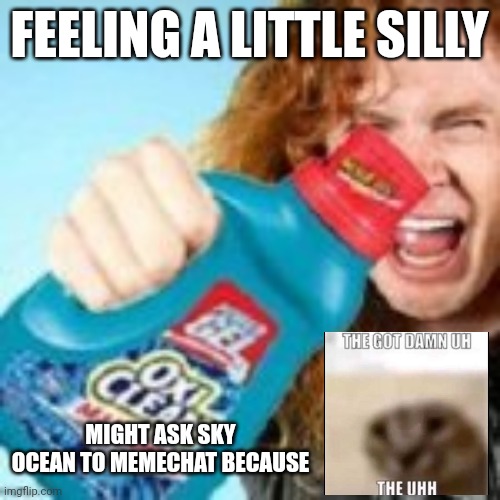 shitpost | FEELING A LITTLE SILLY; MIGHT ASK SKY OCEAN TO MEMECHAT BECAUSE | image tagged in shitpost | made w/ Imgflip meme maker