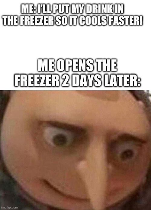 Don’t do this! | ME: I’LL PUT MY DRINK IN THE FREEZER SO IT COOLS FASTER! ME OPENS THE FREEZER 2 DAYS LATER: | image tagged in gru meme | made w/ Imgflip meme maker