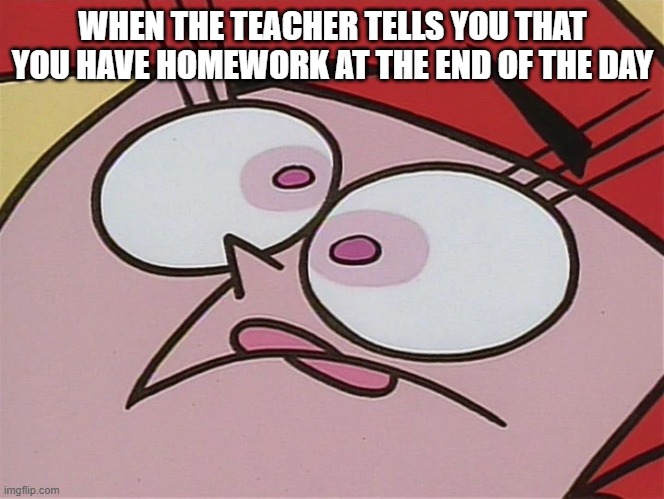Homework | WHEN THE TEACHER TELLS YOU THAT YOU HAVE HOMEWORK AT THE END OF THE DAY | image tagged in homework | made w/ Imgflip meme maker