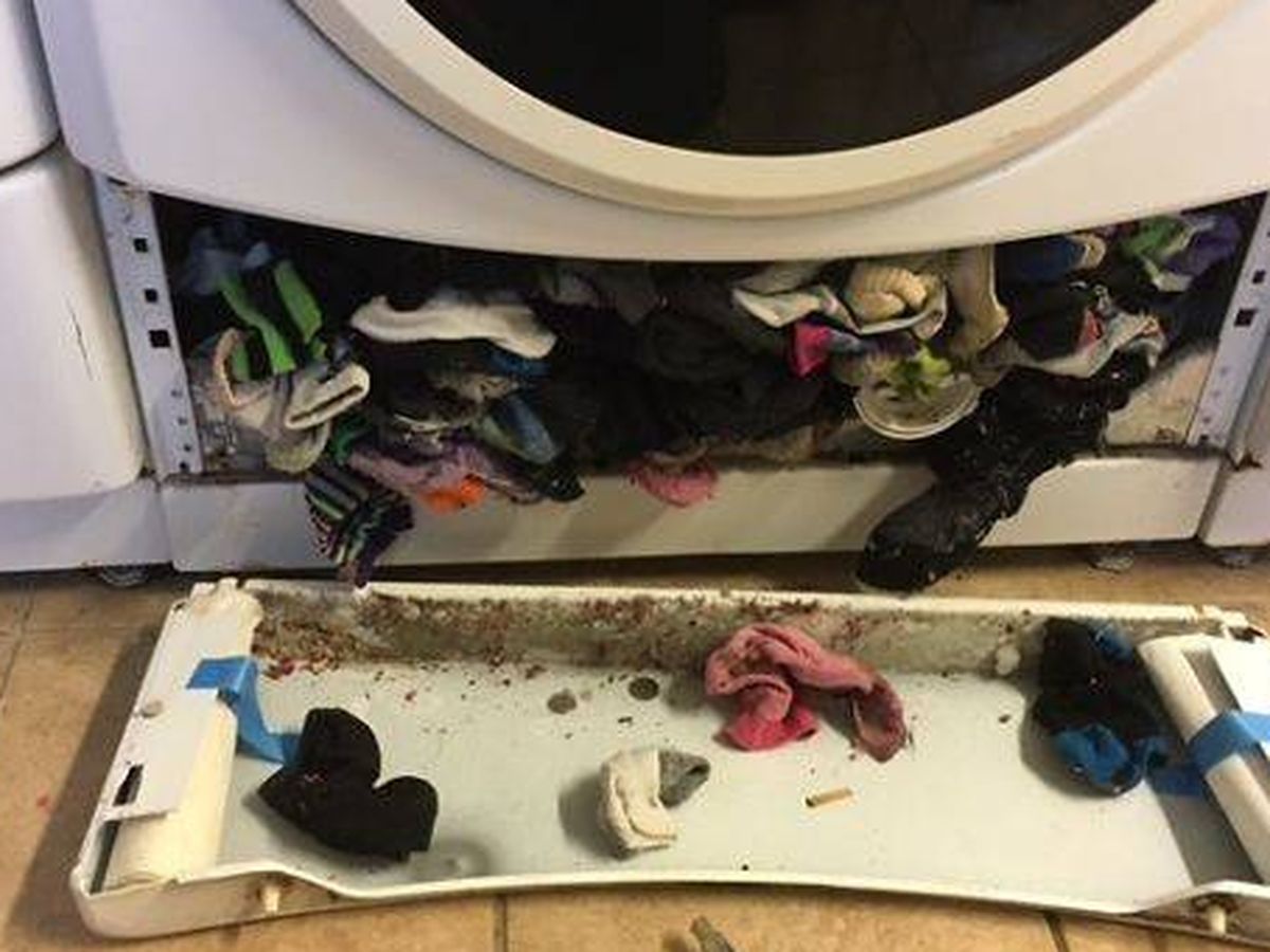Socks Blank Meme Template