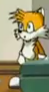 High Quality tails stare Blank Meme Template
