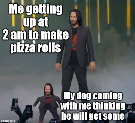 Breathtaking Image | Me getting up at 2 am to make pizza rolls; My dog coming with me thinking he will get some | image tagged in breathtaking image | made w/ Imgflip meme maker