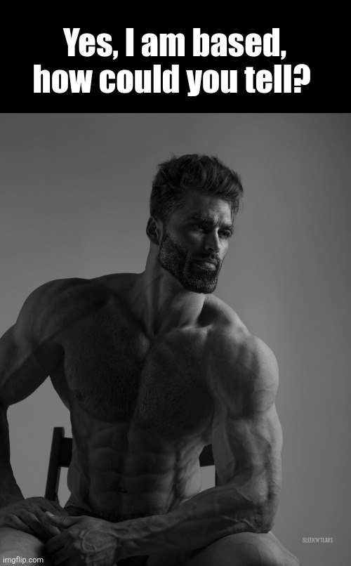 Giga Chad | Yes, I am based, how could you tell? | image tagged in giga chad | made w/ Imgflip meme maker