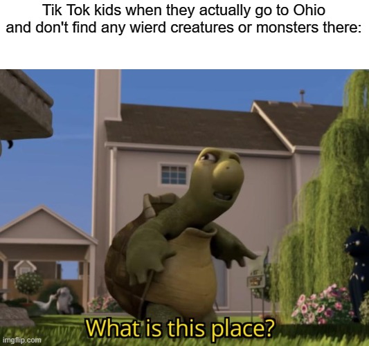 What is this place | Tik Tok kids when they actually go to Ohio and don't find any wierd creatures or monsters there: | image tagged in what is this place | made w/ Imgflip meme maker