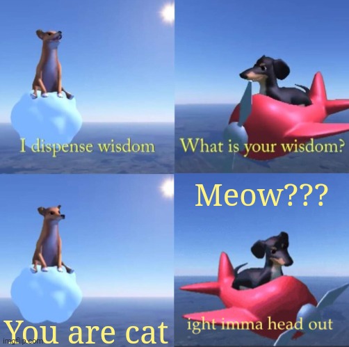 You are cat | Meow??? You are cat | image tagged in wisdom dog rejected | made w/ Imgflip meme maker