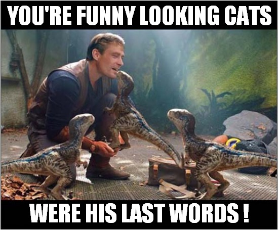 Not The Best First Day At Jurassic Park ! | YOU'RE FUNNY LOOKING CATS; WERE HIS LAST WORDS ! | image tagged in jurassic park,eaten,dark humour | made w/ Imgflip meme maker