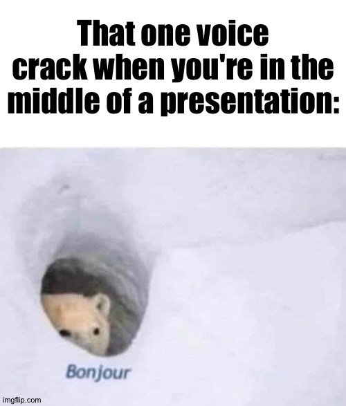 Bonjour | That one voice crack when you're in the middle of a presentation: | image tagged in bonjour | made w/ Imgflip meme maker